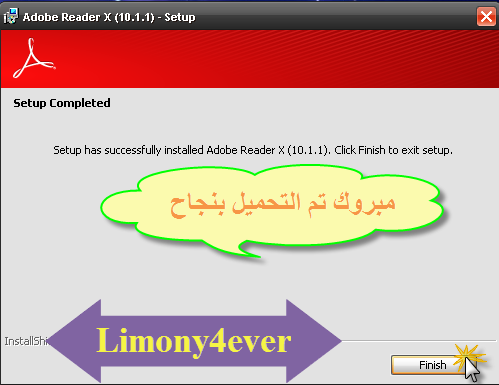   Adobe Reader v10.1.2
