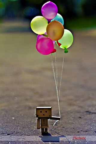 Cute Danbo on Cute Danbo